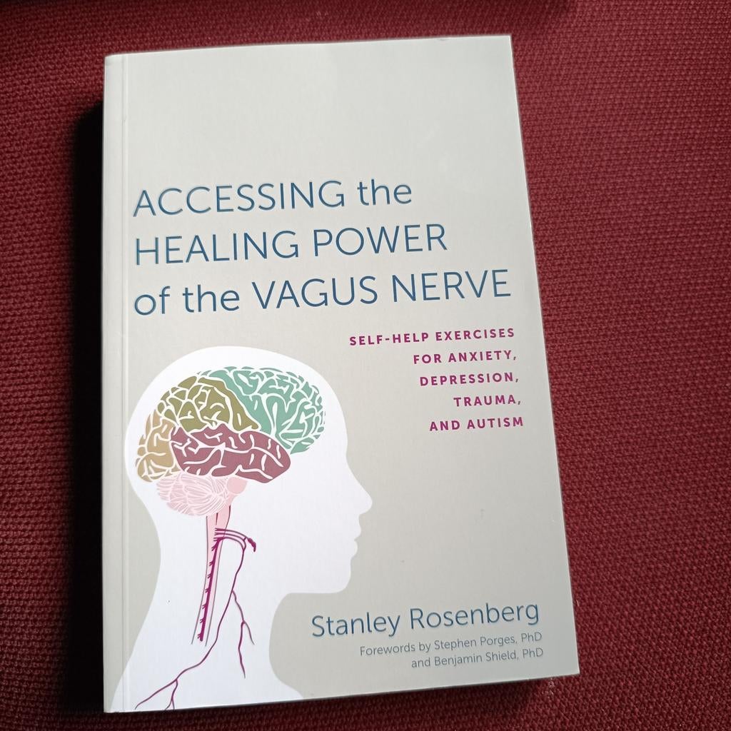 Accessing the Healing Power of the Vagus Nerve, Ophalen of Verzenden, Stanley Rosenberg