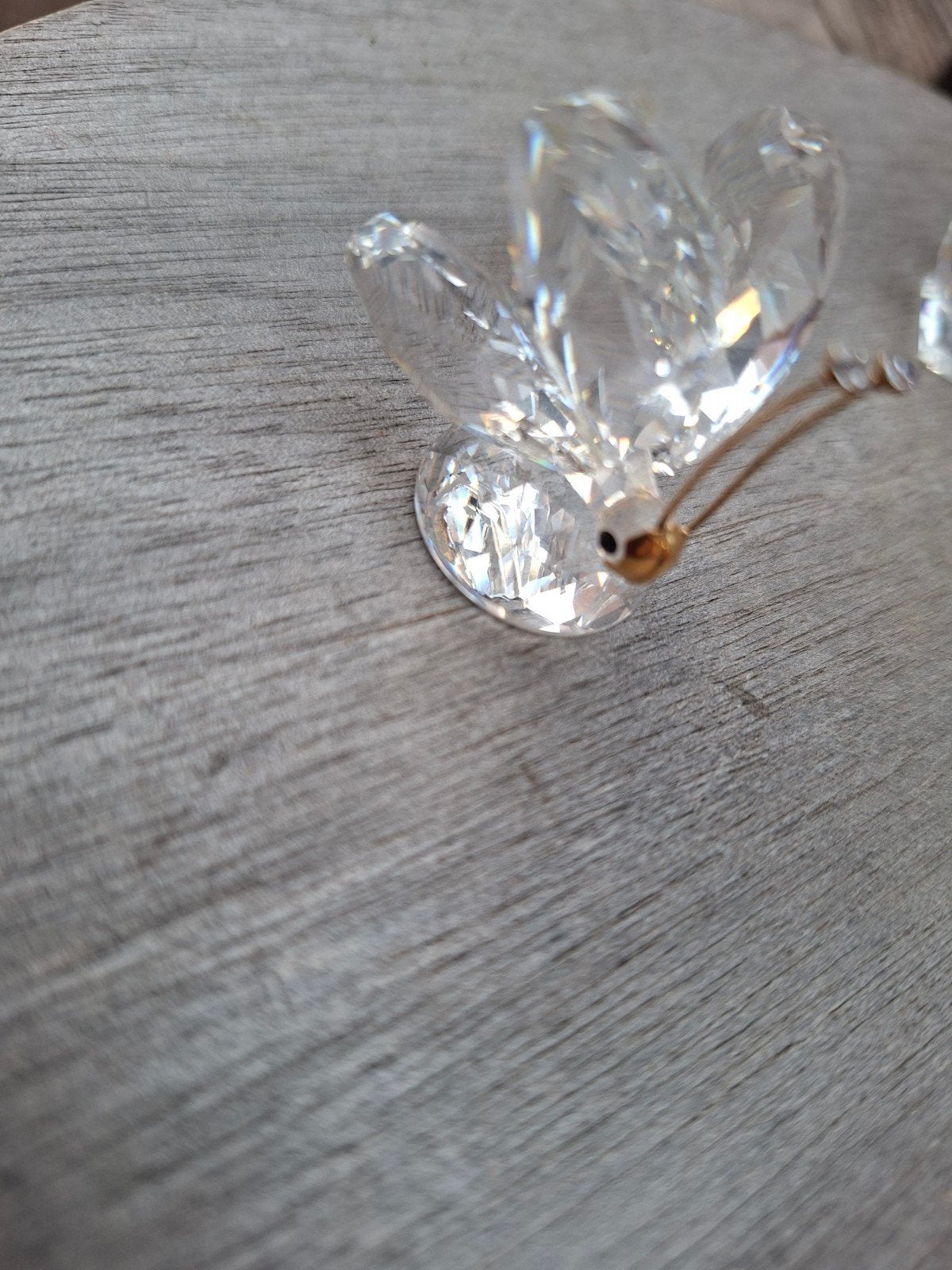 Vlinder swarovski, Verzamelen, Swarovski, Ophalen
