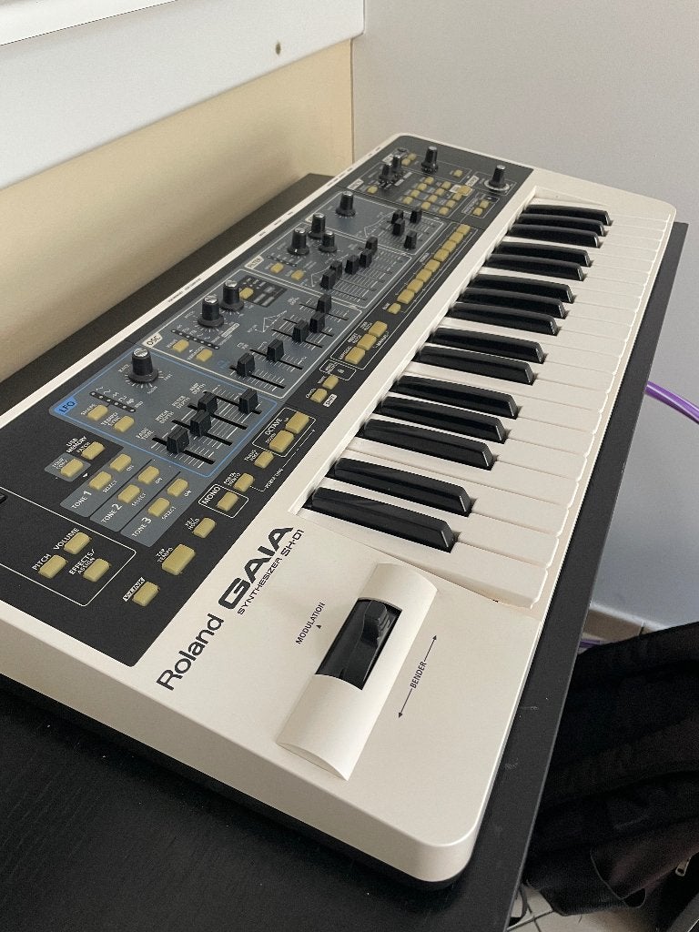 Roland Gaia SH1, Muziek en Instrumenten, Keyboards, Gebruikt, 49 toetsen, Roland, Ophalen