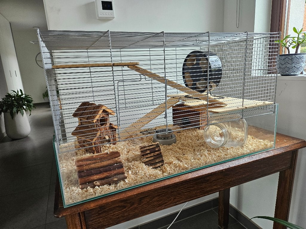 hamsterkooi, Dieren en Toebehoren, Kooi, Gebruikt, Hamster, 75 tot 110 cm