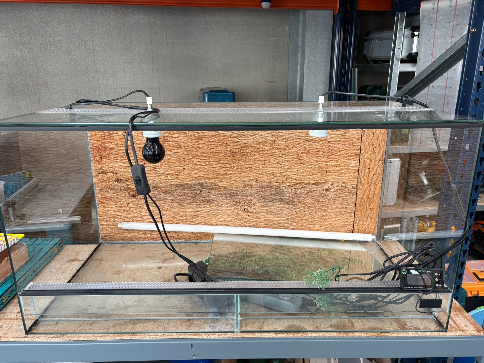 Terrarium 100x50x50 met verlichting + accessoires, Dieren en Toebehoren, Ophalen, Gebruikt, Terrarium of Paludarium