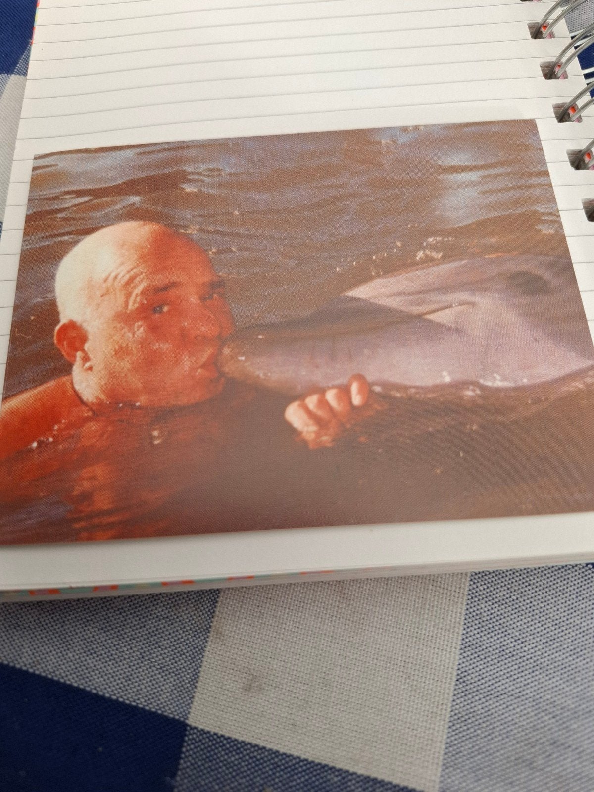 bidprentje met dier, Ophalen of Verzenden, Bidprentje