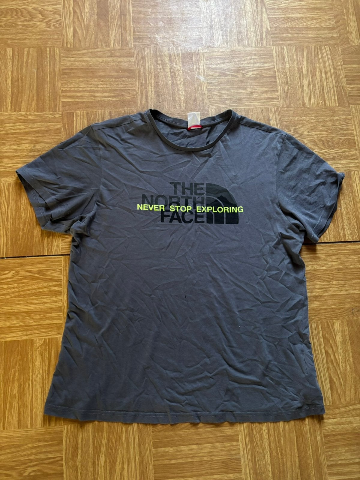The north face Tshirt, Ophalen of Verzenden, Gedragen, Maat 48/50 (M), Grijs