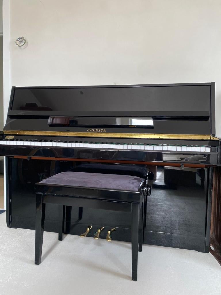 Celesta piano, Muziek en Instrumenten, Ophalen, Gebruikt, Zwart, Piano