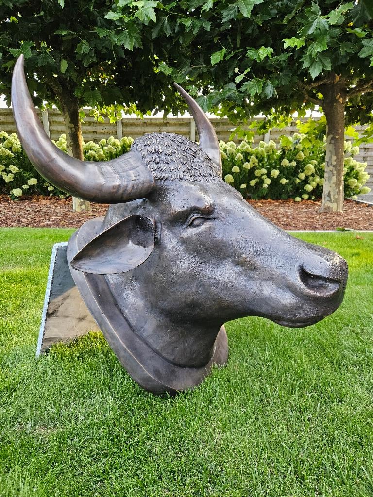 BRONZEN LEVENSGROTE KOP VAN EEN STIER ZEER ZWAAR 80 HOOG!, Tuin en Terras, Ophalen of Verzenden, Nieuw, Overige materialen, Dierenbeeld