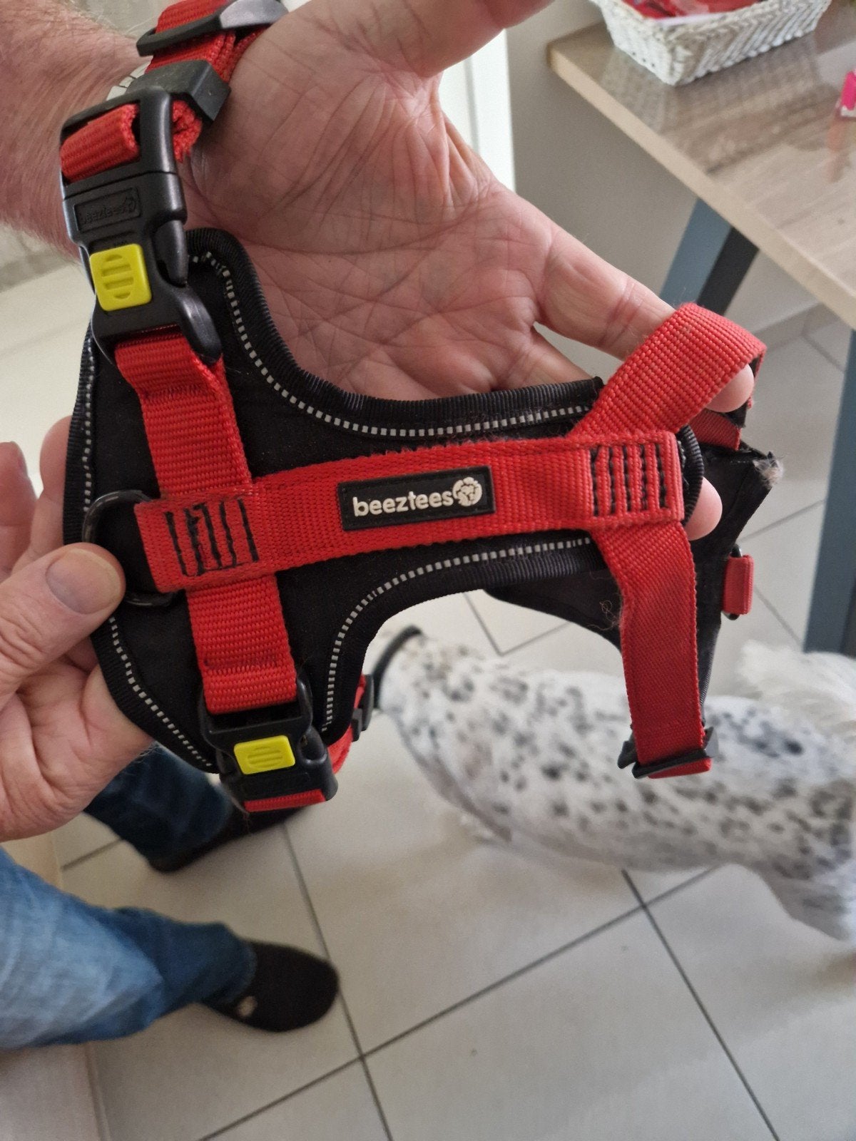 Hondenharnas, Dieren en Toebehoren, Ophalen