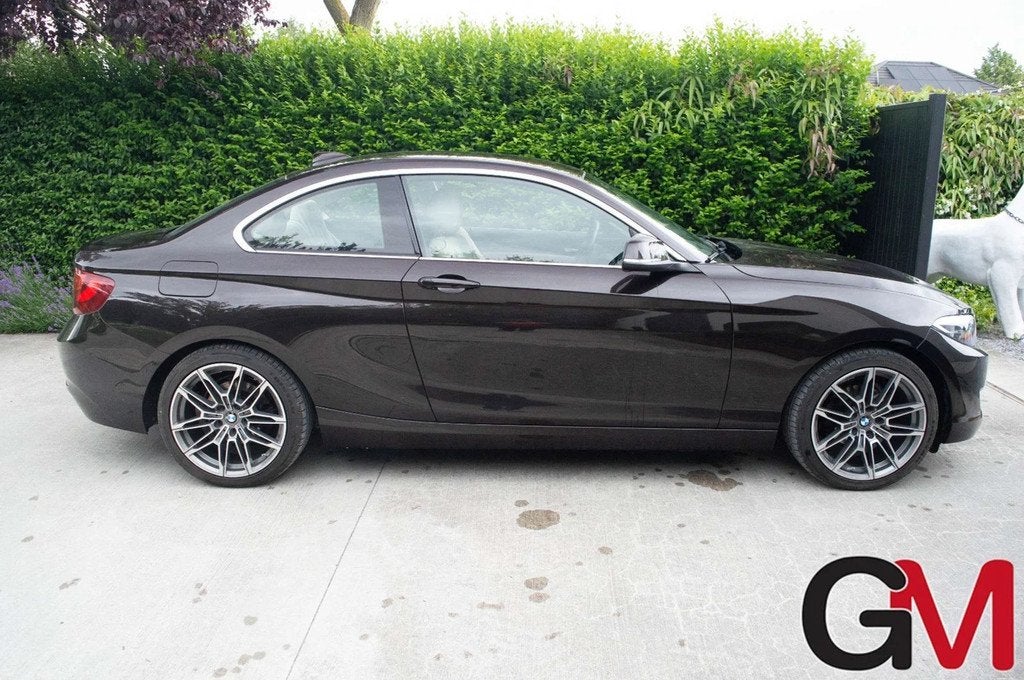 BMW 2 Serie 218 Coupé 218iA Edition (automatique), Autos, Entreprise, 136 ch, 2 portes, Automatique