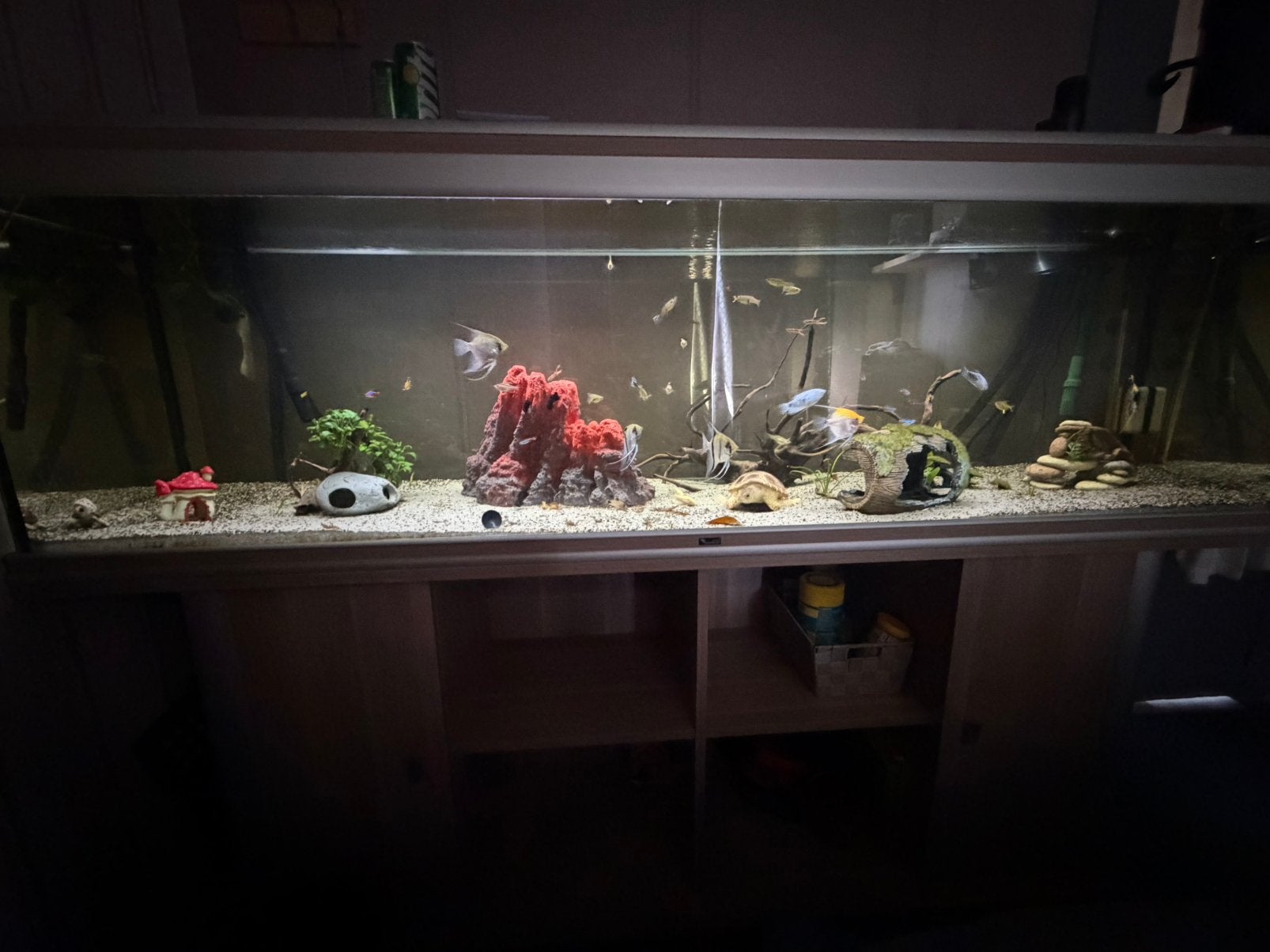 500liter Aquarium 198 cm met Kast – Compleet & Instapklaar, Ophalen, Zo goed als nieuw, Decoratie, Tetra