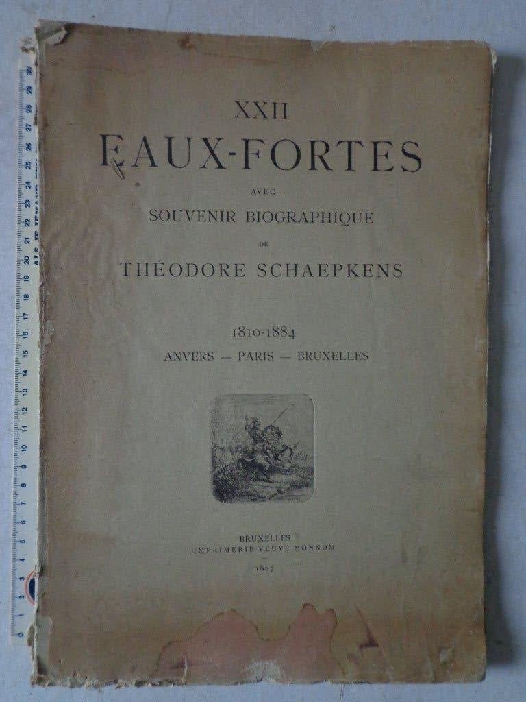 Théodore Schaepkens boek met 22 etsen uit 1887, Antiek en Kunst, Ophalen of Verzenden, Ets, 1800 - 1899
