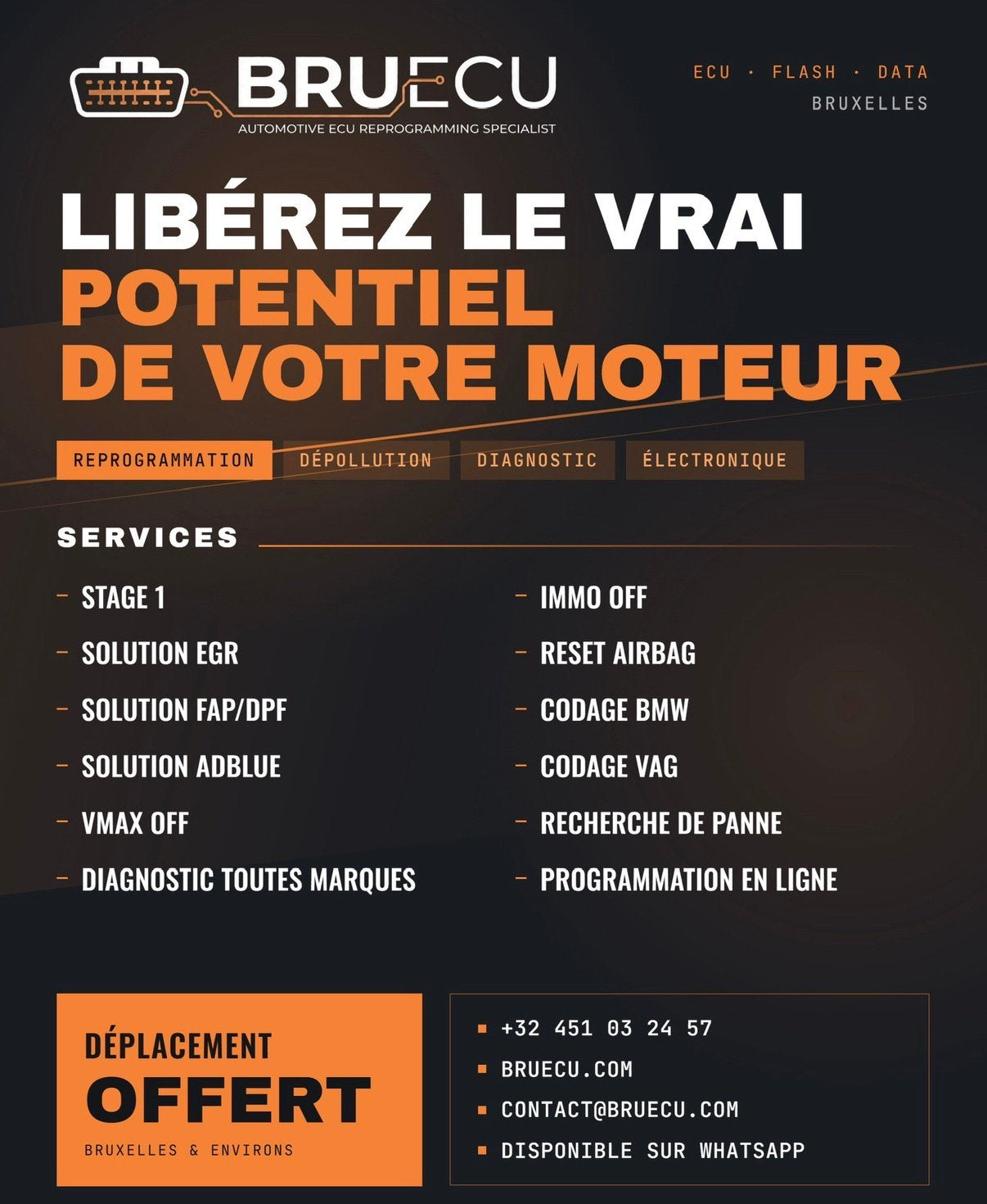 Reprogrammation moteur Stage 1 EGR/FAP/AdBlue Immo OFF, Enlèvement