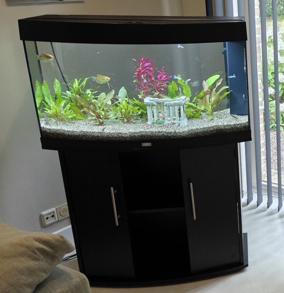 Aquarium Juwel Vision180 liter met onderkast, Dieren en Toebehoren, Ophalen, Gebruikt, Leeg aquarium, Juwel