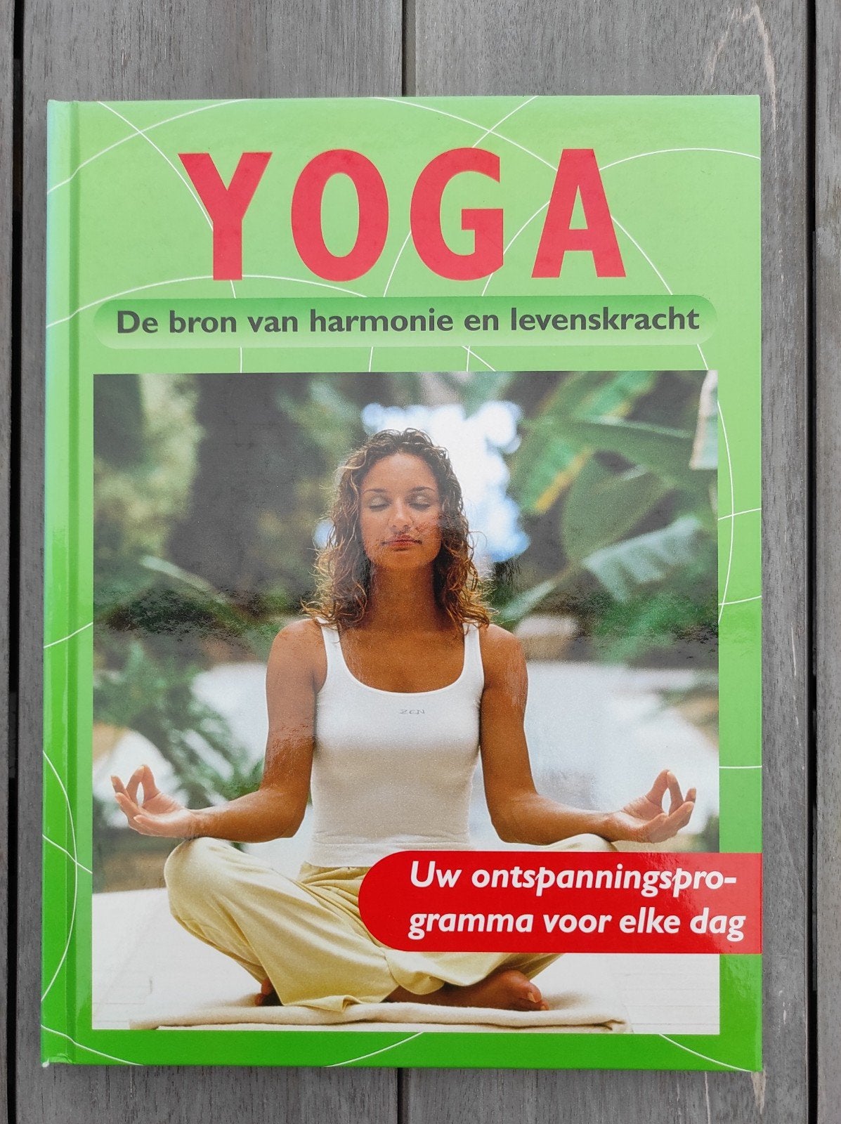 Boek yoga de bron van harmonie en levenskracht, Sport en Fitness, Yoga en Pilates, Ophalen