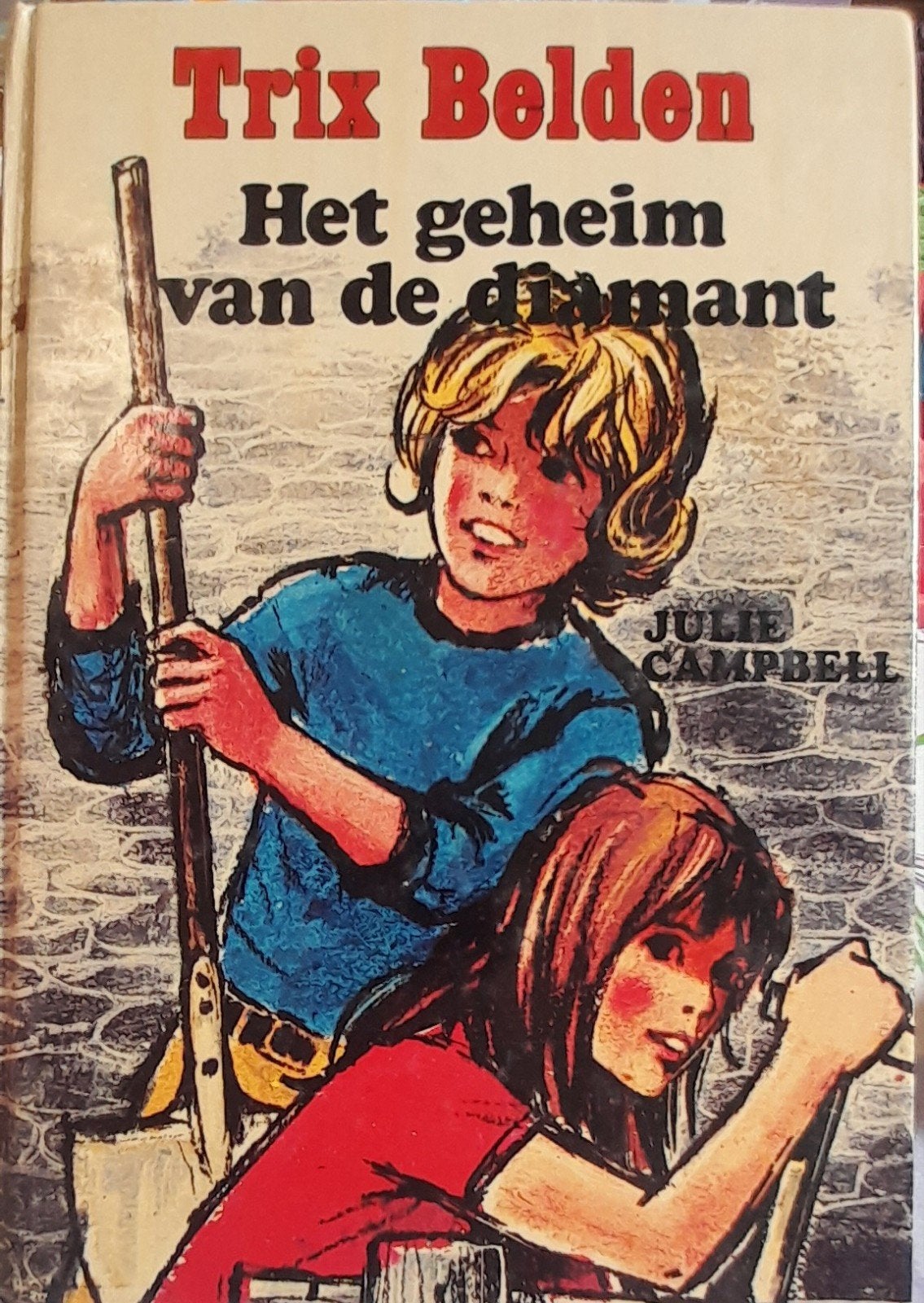 Boek Het geheim van de diamant, Boeken, Ophalen of Verzenden