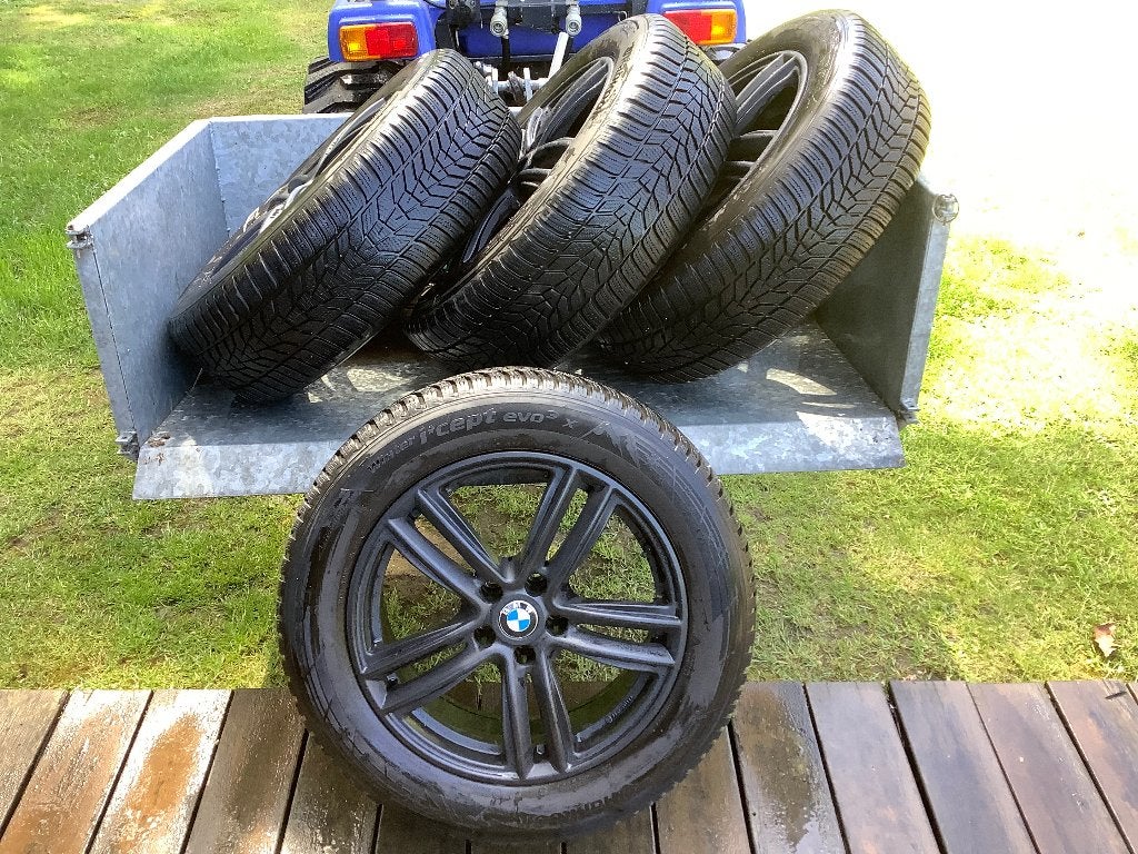 Mat zwarte alu velgen met winterbanden voor BMW X3 (G01), Auto-onderdelen, Banden en Velgen, Ophalen, 18 inch, Gebruikt, Velg(en)