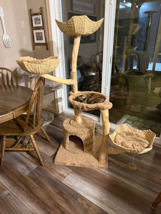 Natuurlijke Houten Krabpaal 150cm – Handgevlochten Mandjes, Animaux & Accessoires, Enlèvement ou Envoi, Comme neuf, Griffoir