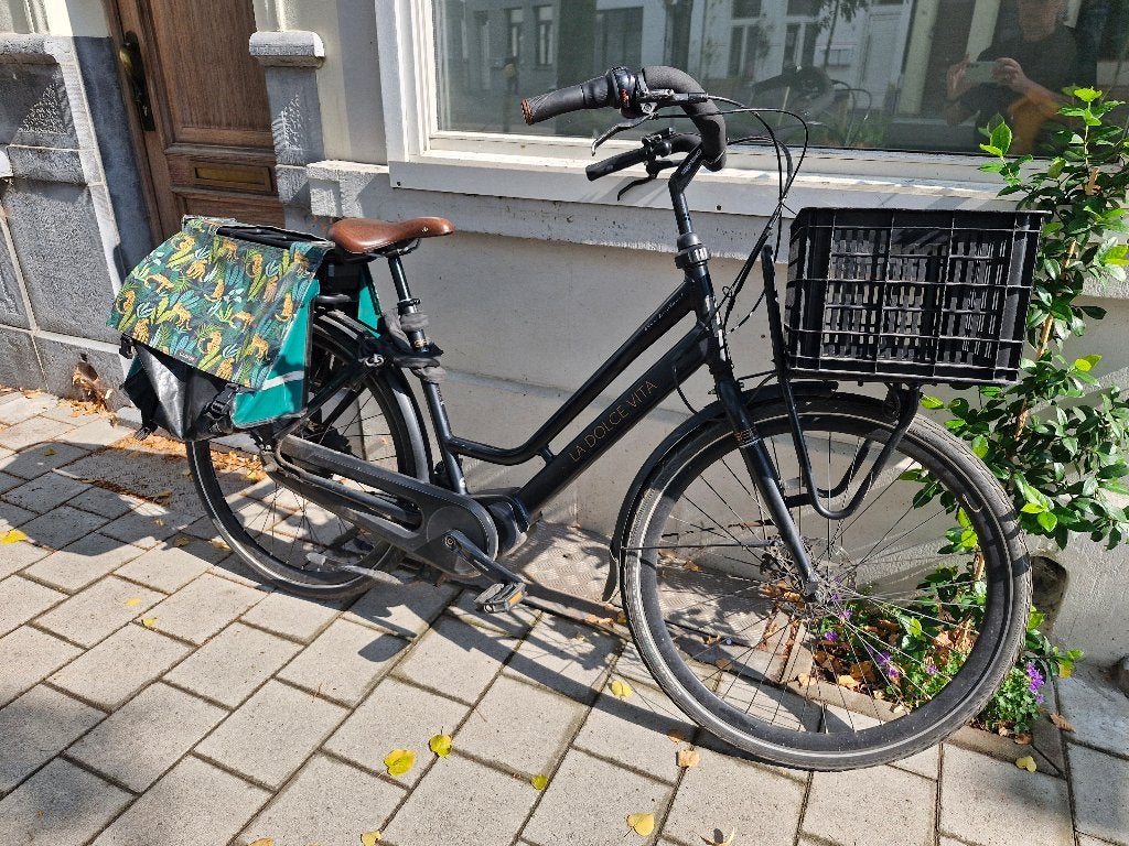 Elektrische fiets Bsp/La Dolce Vita moederfiets, Fietsen en Brommers, Gebruikt, Dubbele standaard, 0 zitjes, Ophalen