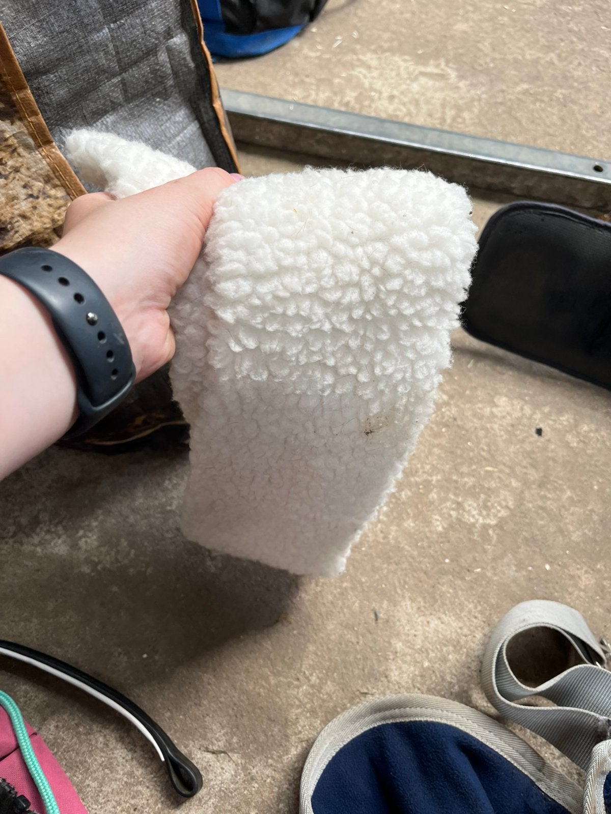 Paardenspullen te koop, Dieren en Toebehoren, Ophalen, Gebruikt, Overige disciplines