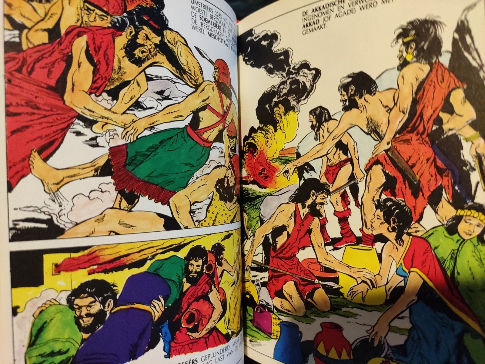 L'histoire du monde sous forme de bande dessinée, Livres, Enlèvement ou Envoi