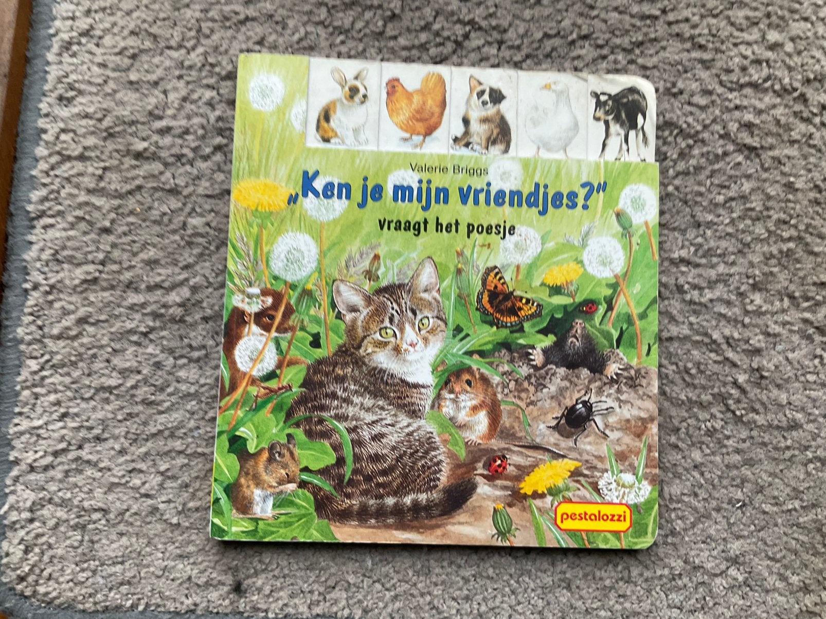Ken je mijn vriendjes? Vraagt het poesje., Boeken, Ophalen of Verzenden, Zo goed als nieuw