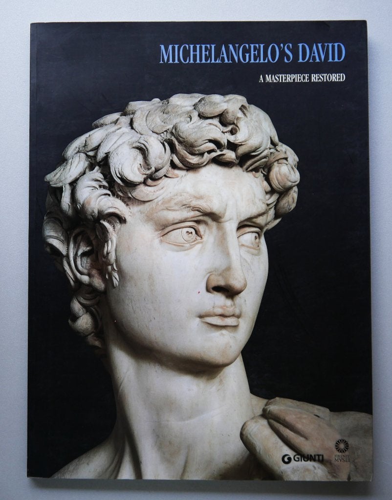 Michelangelo's David: A Masterpiece Restored, Livres, Art & Culture | Arts plastiques, Enlèvement ou Envoi, Neuf