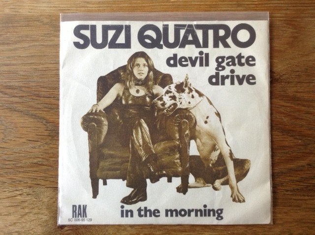 single suzi quatro, Cd's en Dvd's, 7 inch, Ophalen of Verzenden, Beschermende buitenhoes, Rock en Metal