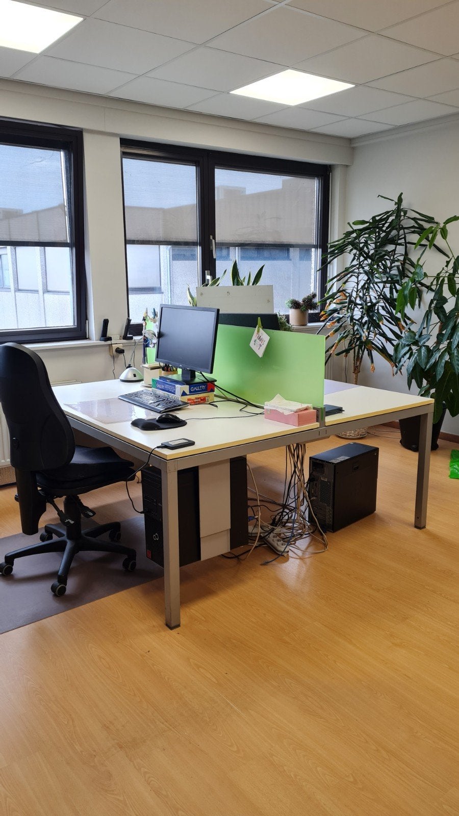 Duo-bureau design - trendy groen scheidingswand - 2 personen, Ophalen, Hout, Duo-bureau, Modern