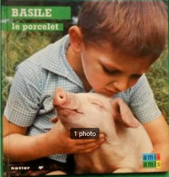 "Basile, le porcelet" Anne-Marie Pajot (1966), Livres, Anne-Marie Pajot, Garçon ou Fille, Enlèvement ou Envoi, Fiction général