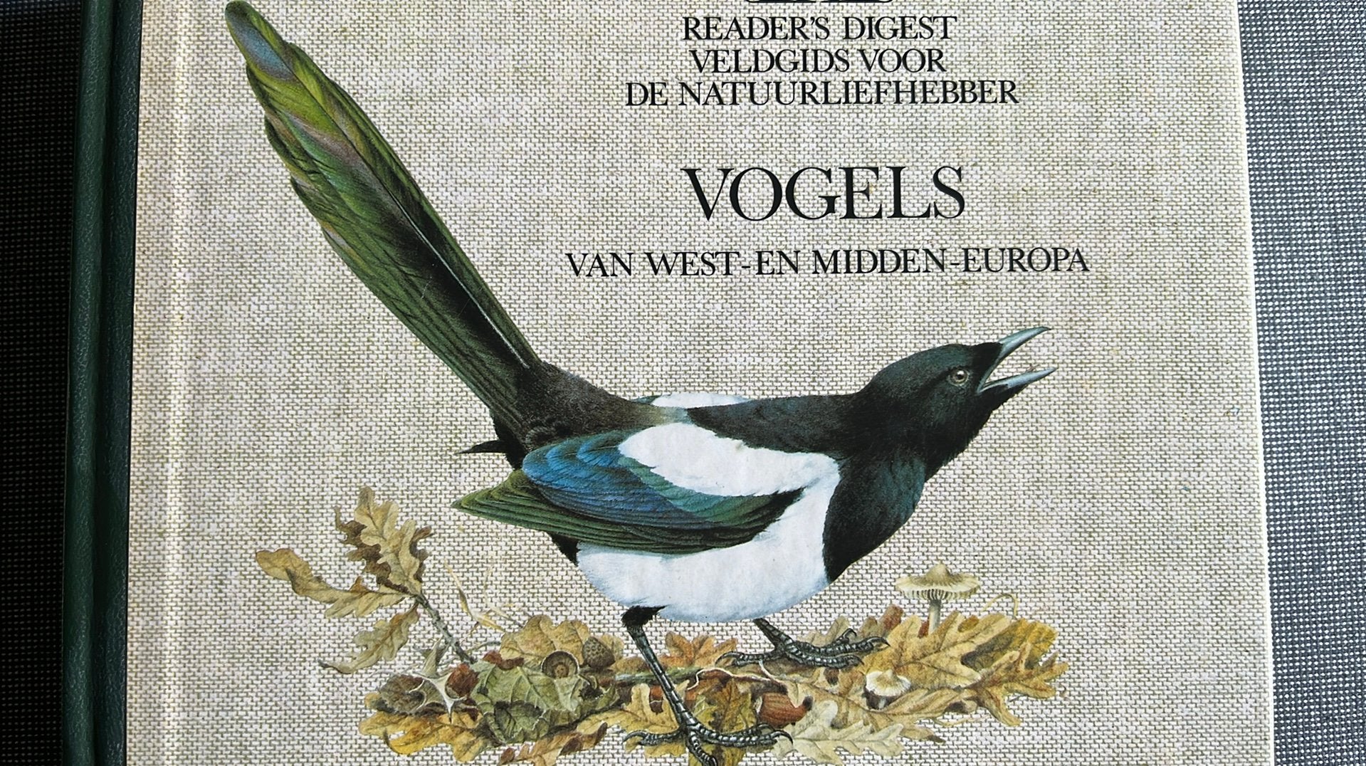 Veldgids: Vogels van West en Midden Europa, Boeken, Ophalen of Verzenden, Zo goed als nieuw, Vogels