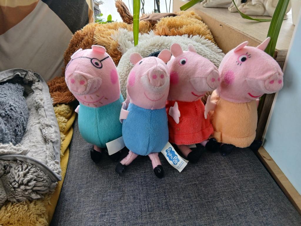 Peppa pig knuffels, Peppa Pig, Ophalen