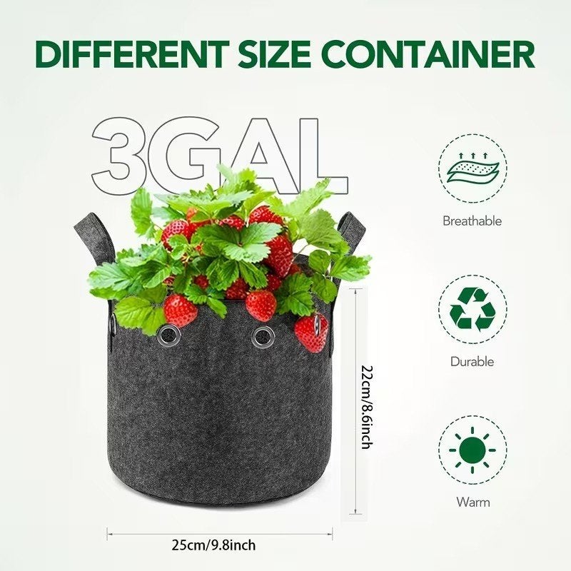 Gardening Supplies: Plant Grow Bags 11.36L, Maison & Meubles, Plantes d'intérieur, Autres espèces, 100 à 150 cm, Plante verte
