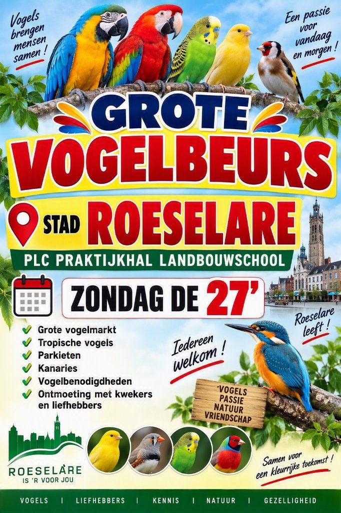 vogelverkoop  roeselare, Dieren en Toebehoren, Tropenvogel, Geringd