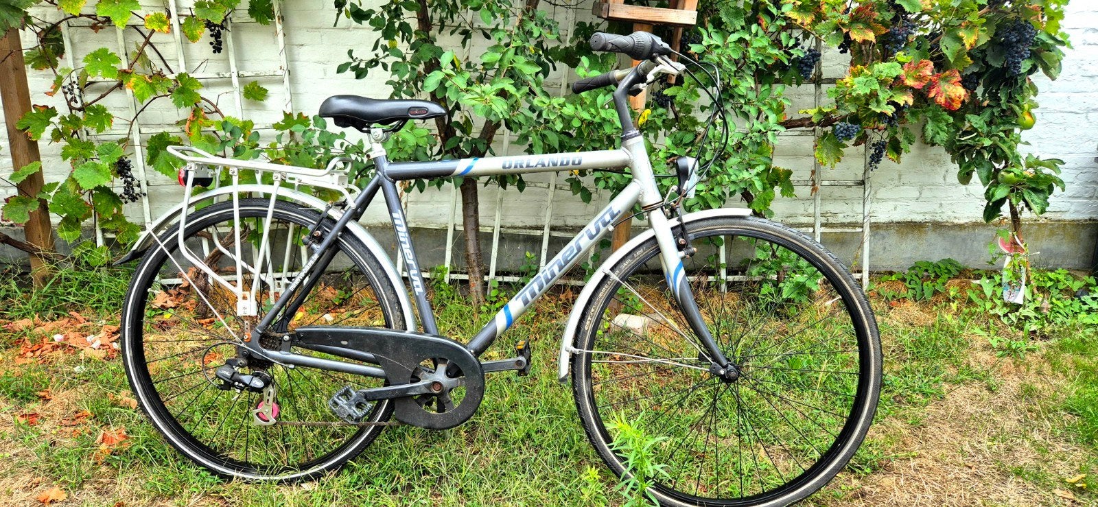 Vélo 28 pouces Minerva Orlando pour homme, Vélos & Vélomoteurs, Enlèvement