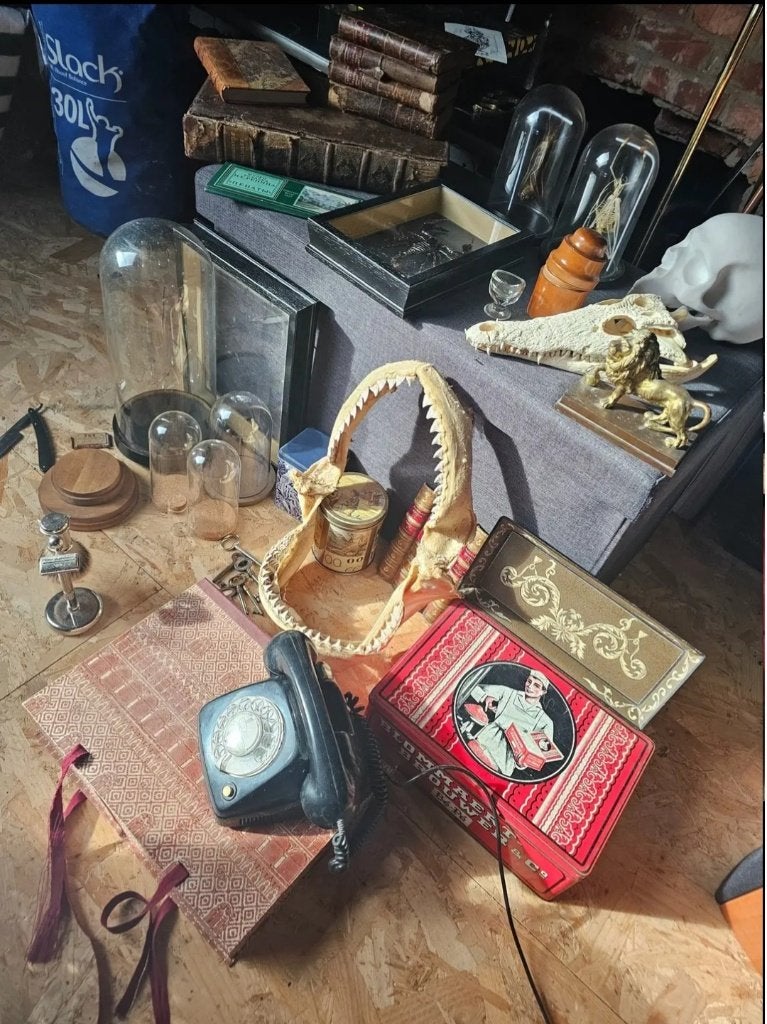 cabinet de curiosités – objets anciens, taxidermie, Enlèvement