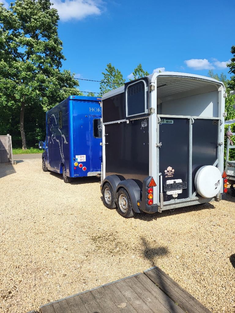 Paarden cammiontje te huur b rijbewijs, Ophalen