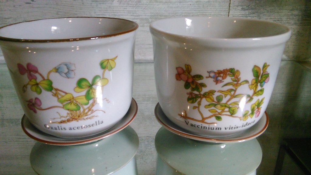 2 vintage bloempotten botanica porselein Ø 13,5cm, Ophalen of Verzenden, Binnen