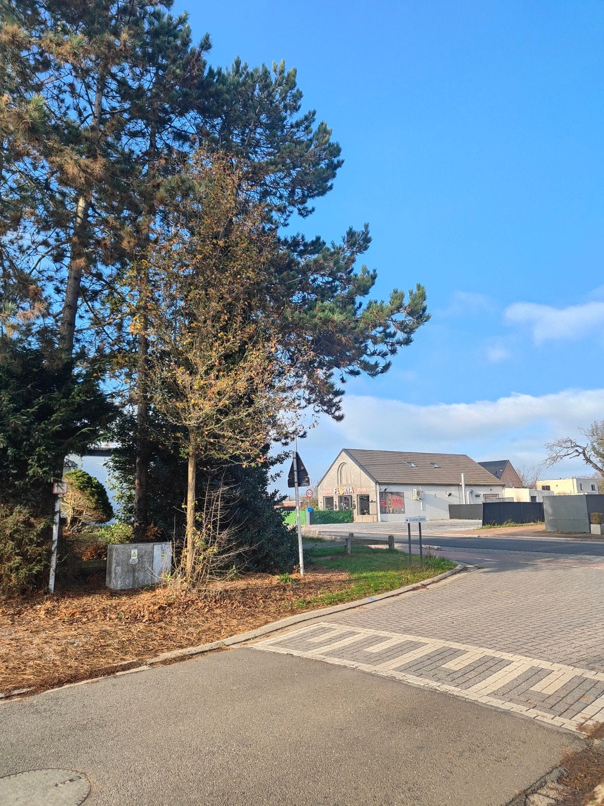 gratis bomen, Ophalen, Overige houtsoorten