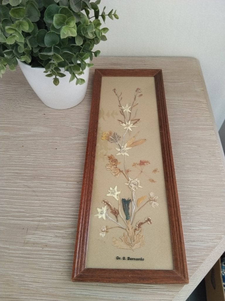vintage houten kader met Edelweiss achter glas, Vintage, Ophalen of Verzenden, Zo goed als nieuw, Achter glas