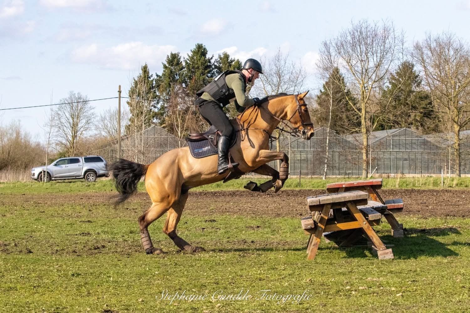 Springpaard te koop, Animaux & Accessoires, Chevaux, Hongre, Z, Cheval de saut