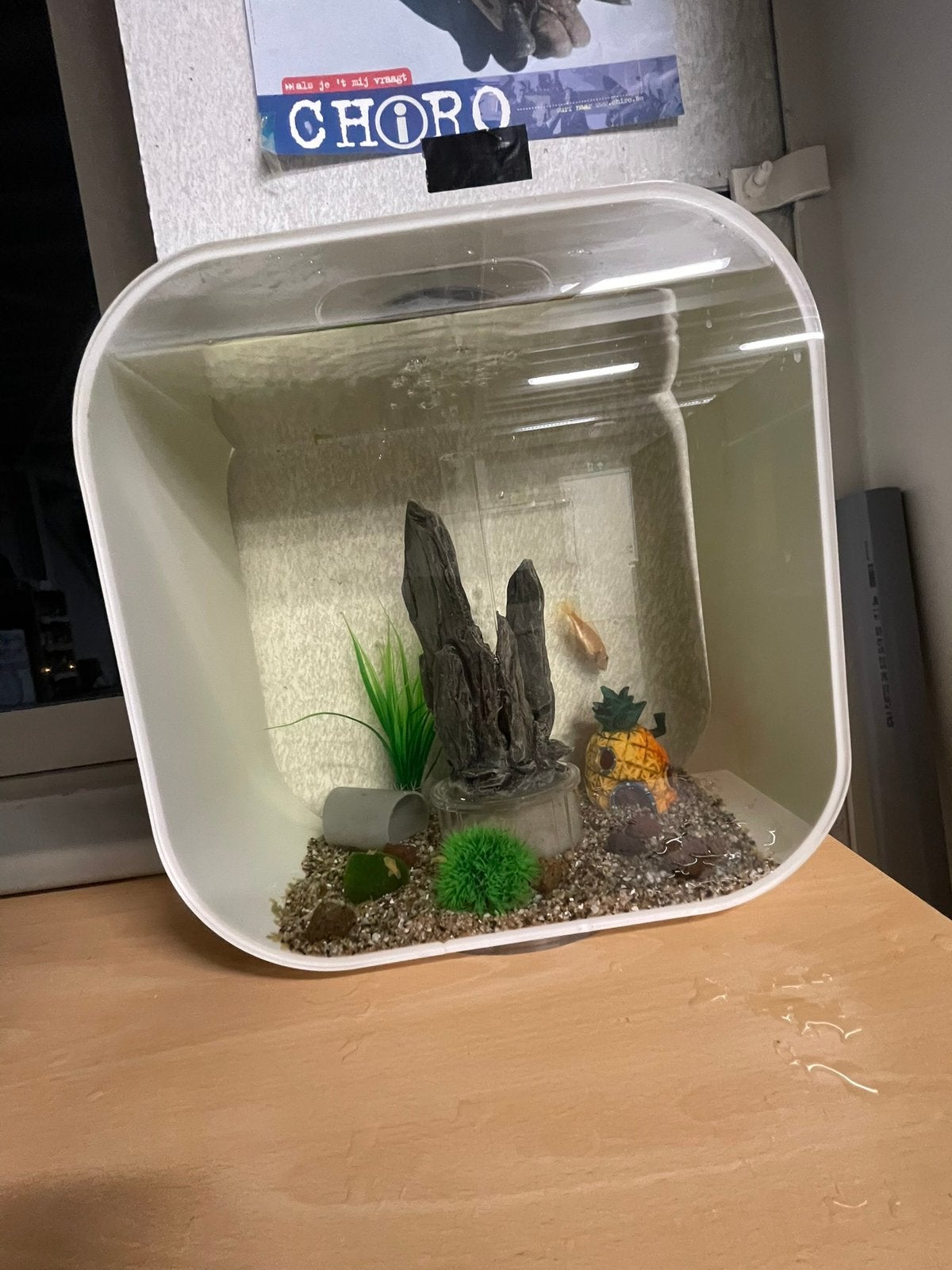 Biorb aquarium, Animaux & Accessoires, Enlèvement, Utilisé