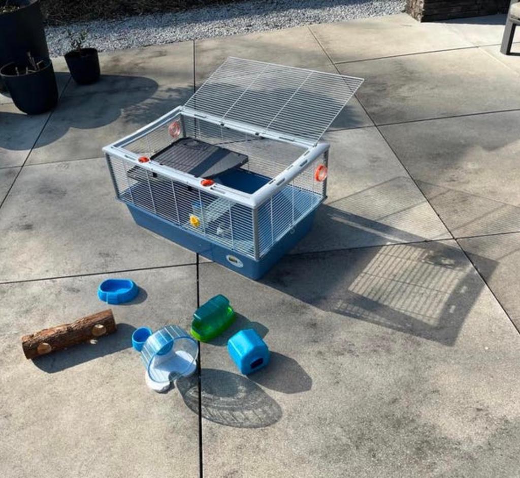 Ruim hok voor hamster, Dieren en Toebehoren, Gebruikt, Minder dan 75 cm, Ophalen, Minder dan 60 cm