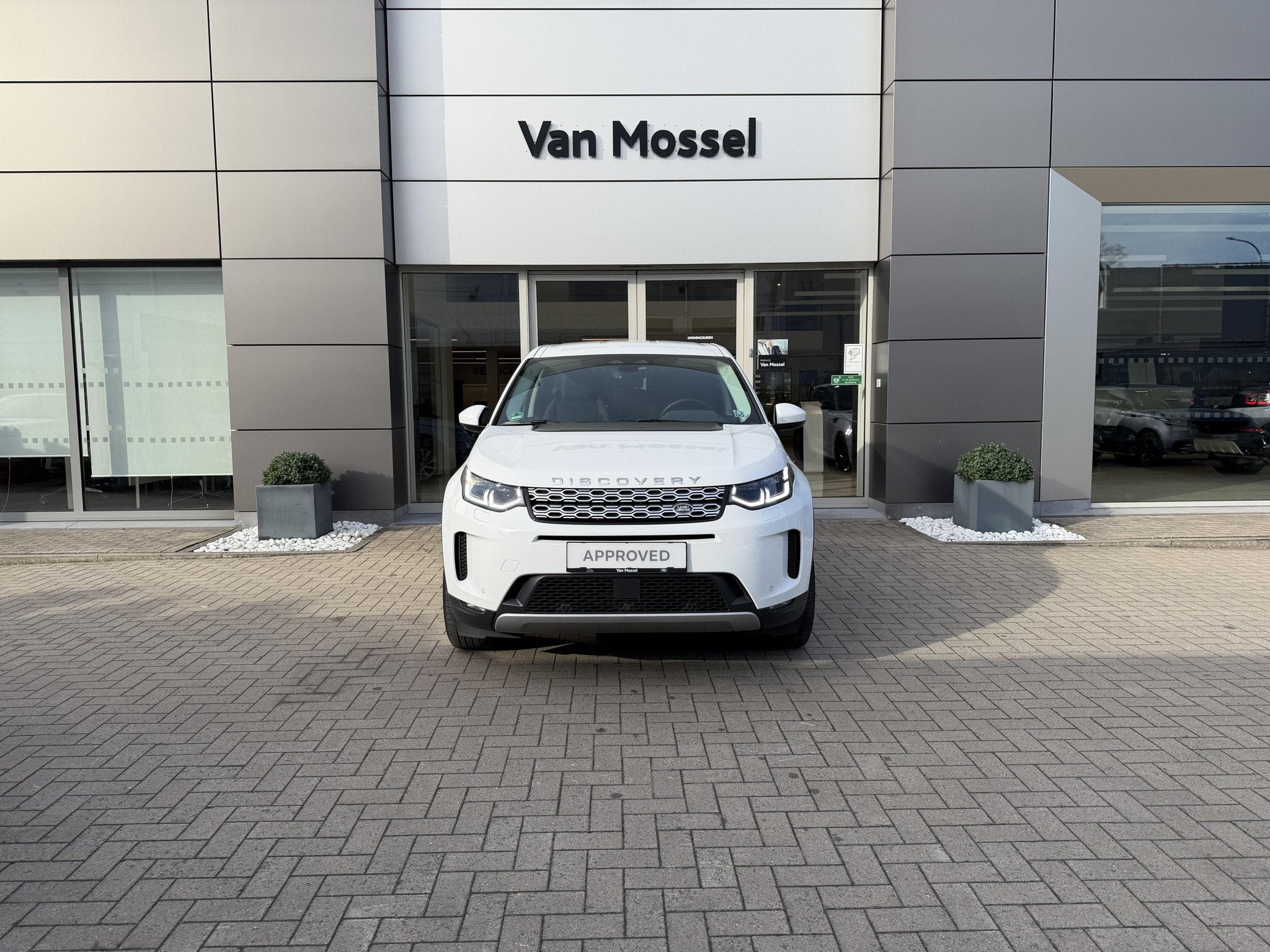 Land Rover Discovery Sport 1.5 PHEV P300e S (automatique), Cuir, Achat, Entreprise, Autres carburants