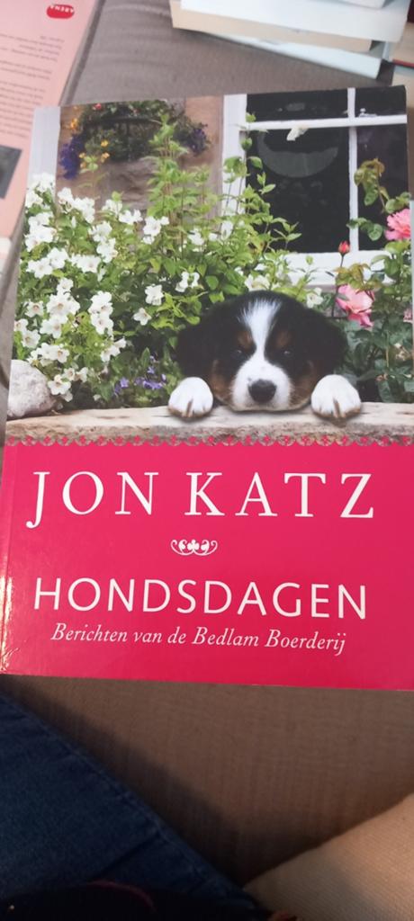 J. Katz - Hondsdagen, Boeken, Literatuur, Ophalen of Verzenden