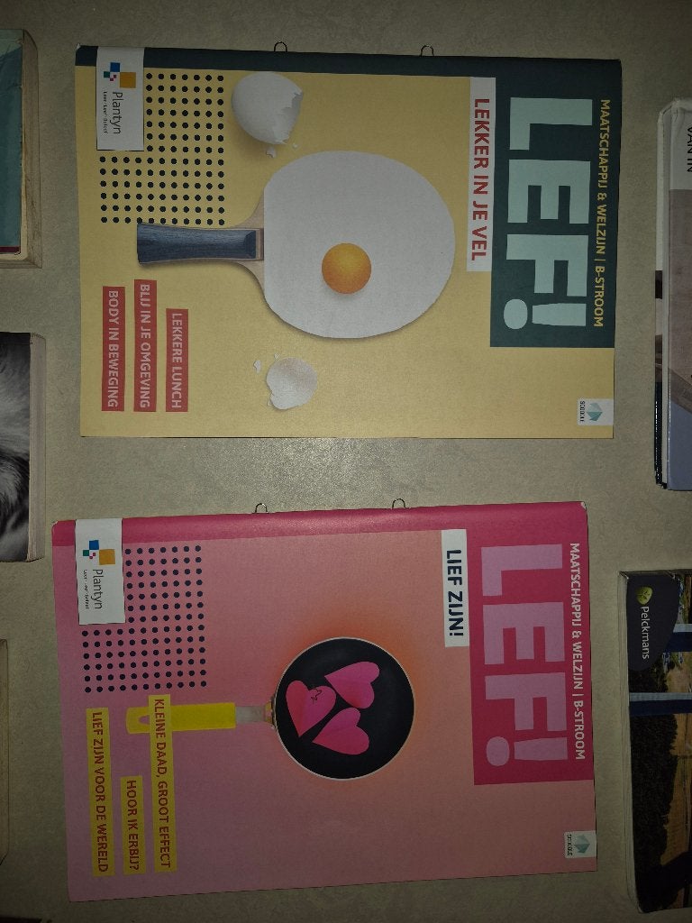 Schoolboek Maatschappij en Welzijn LEF!: B-stroom, Boeken, Plantyn, Nieuw, Ophalen of Verzenden, Maatschappijleer