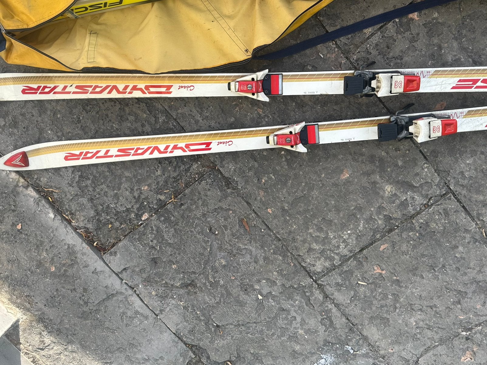 Vintage Dynastar Giant Ski's met Salomon, Sport en Fitness, Skiën en Langlaufen, Gebruikt, Ophalen