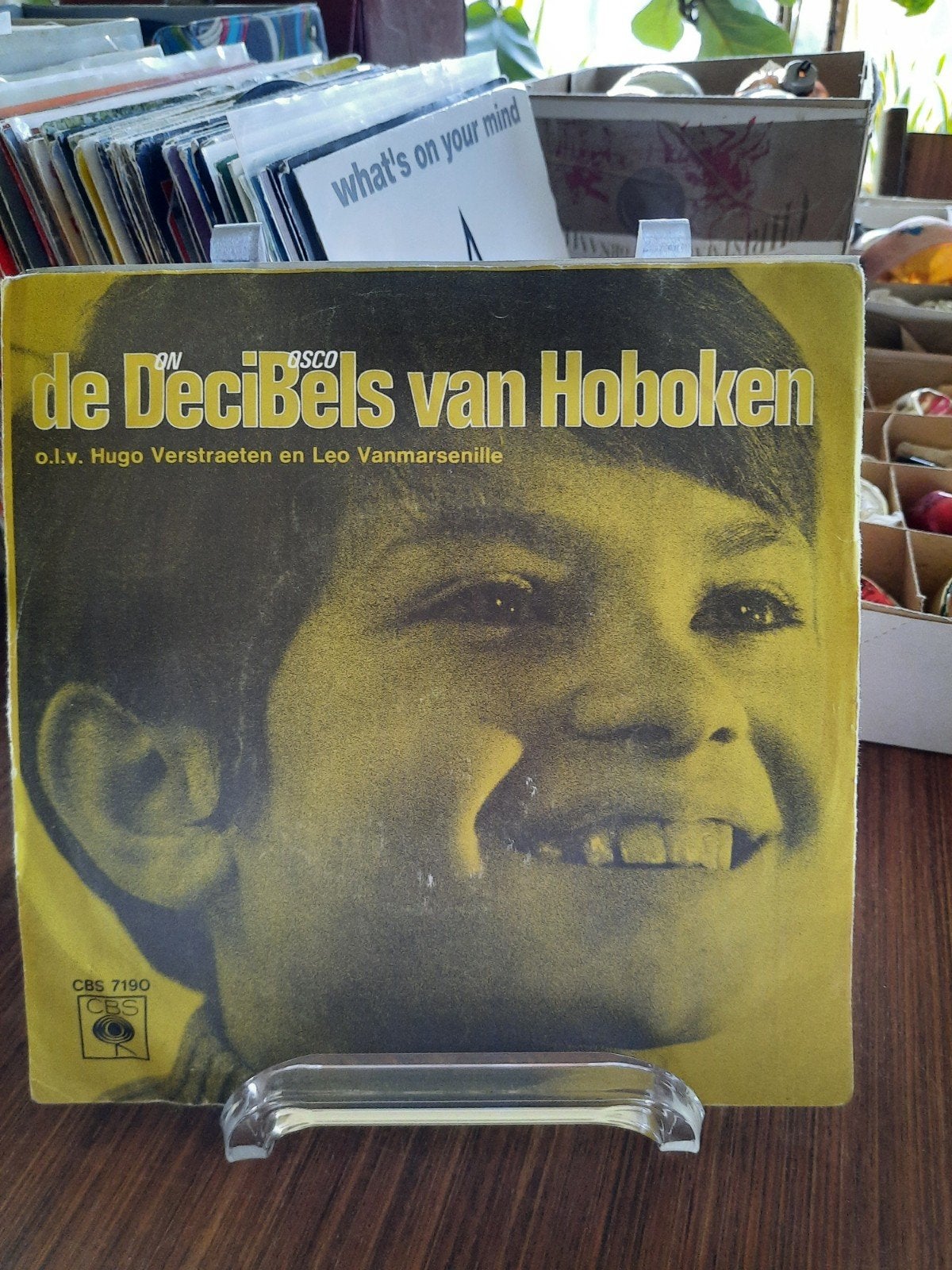 Single De decibels van Hoboken. Mamma-Waarom´'s de wereld li, Enlèvement ou Envoi