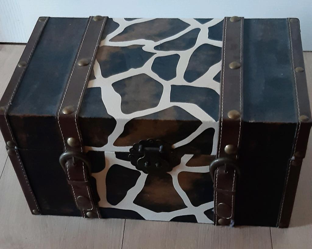 Caisse coffre valise, Informatique & Logiciels, Cartes vidéo, Enlèvement