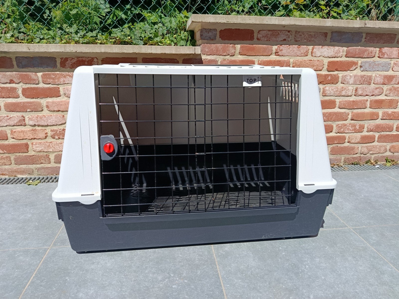 Cage de transport pour chien