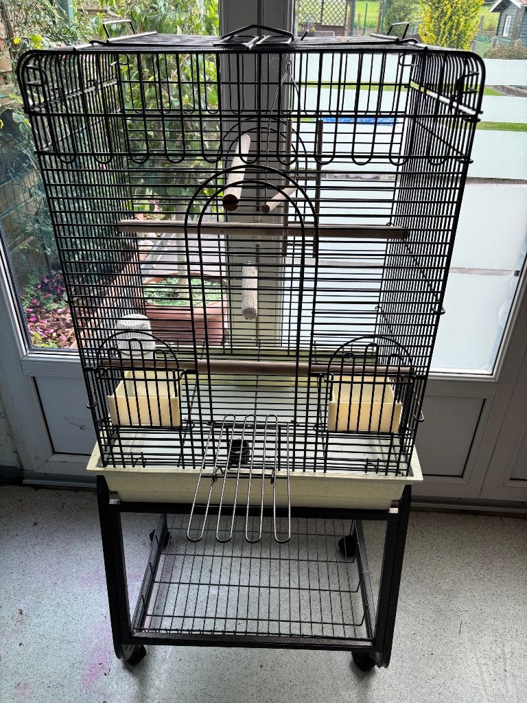 Cage à oiseaux, Enlèvement, Utilisé, Cage à oiseaux