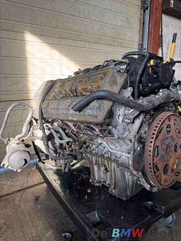 Motorblok BMW X5 E53 4,4i M62 enkel vanos 11007503392, Auto-onderdelen, Gebruikt, Ophalen of Verzenden, BMW, BMW