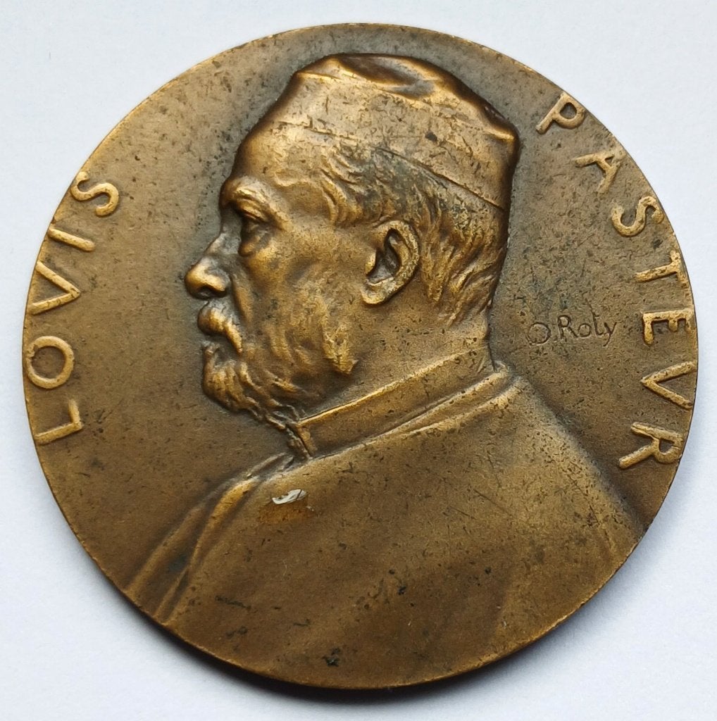 médaille bronze DUBOIS LOUIS PASTEUR 50e anniversaire mort, Enlèvement ou Envoi, Bronze